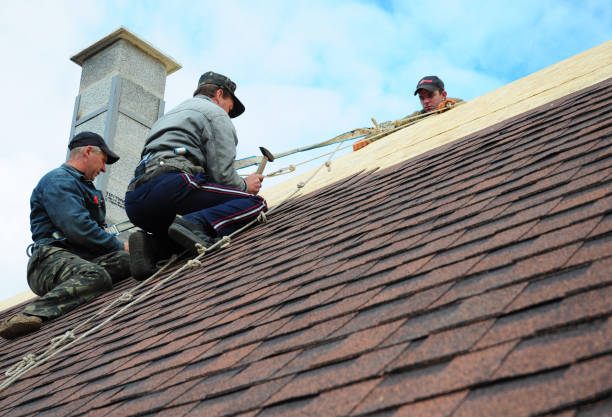 Best New Roof Installation  in Fountain, CO