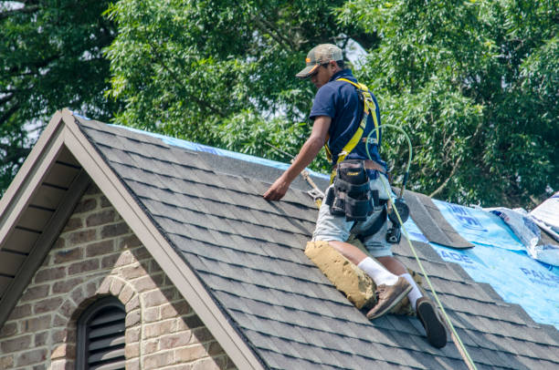 Best Storm Damage Roof Repair  in Fountain, CO